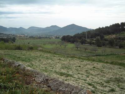 DSCF0016.JPG